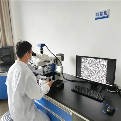 Microstructură cu mărire redusă și defect de detectare a coroziunii acide a oțelului