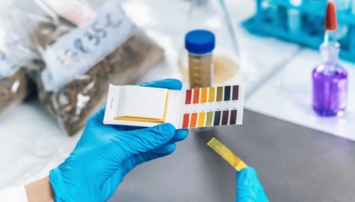 Testing Of Papermaking Additives high quality
